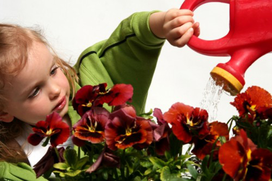 Уход за детьми школа работа. Комнатные растения для детей. Ребенок поливает комнатные цветы. Дети поливают цветы. Дети ухаживают за цветами.
